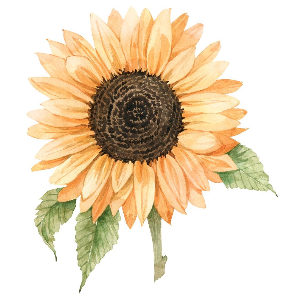 Watercolor Sunflower Fabric