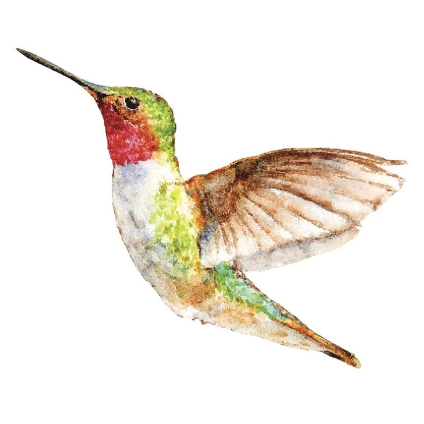 Sketched Hummingbird Fabric Panel - Multi - FunSewing.com