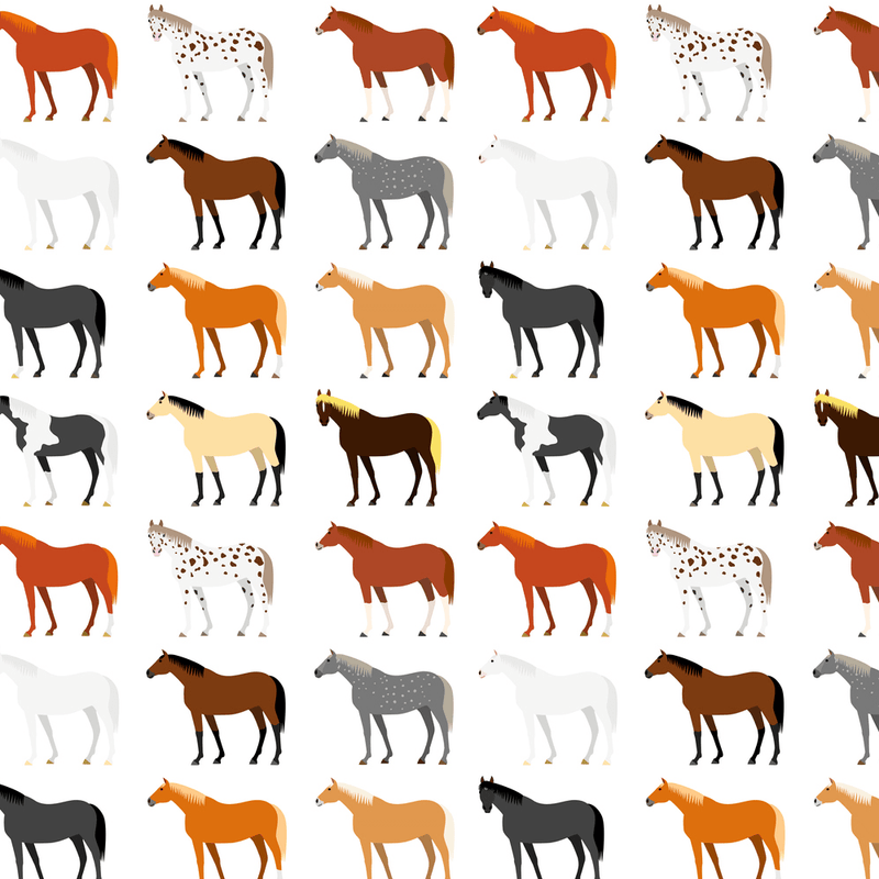 Horse Breed Fabric - Multi - ineedfabric.com