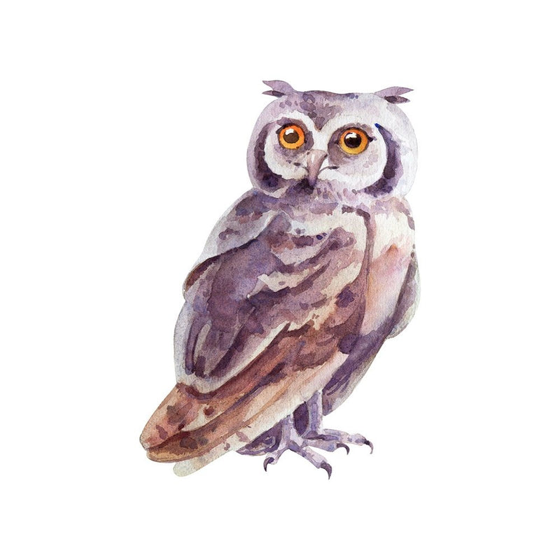 Watercolor Owl Fabric Panel - Multi - ineedfabric.com
